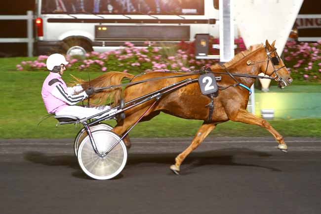 Photo d'arrivée de la course pmu PRIX DAPHNE (GR A) à PARIS-VINCENNES le Mardi 11 octobre 2016