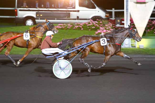 Photo d'arrivée de la course pmu PRIX DAPHNE (GR B) à PARIS-VINCENNES le Mardi 11 octobre 2016