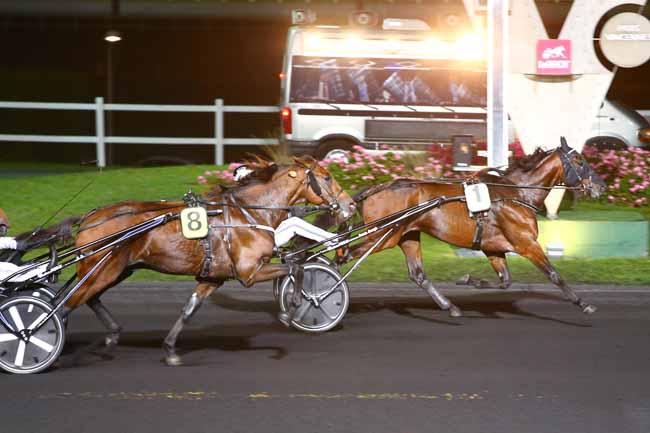 Photo d'arrivée de la course pmu PRIX KURSE à PARIS-VINCENNES le Mardi 11 octobre 2016