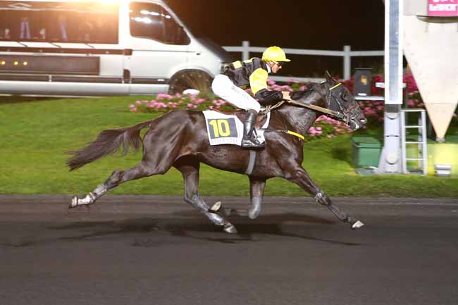 Photo d'arrivée de la course pmu PRIX ANTONIA à PARIS-VINCENNES le Mardi 11 octobre 2016