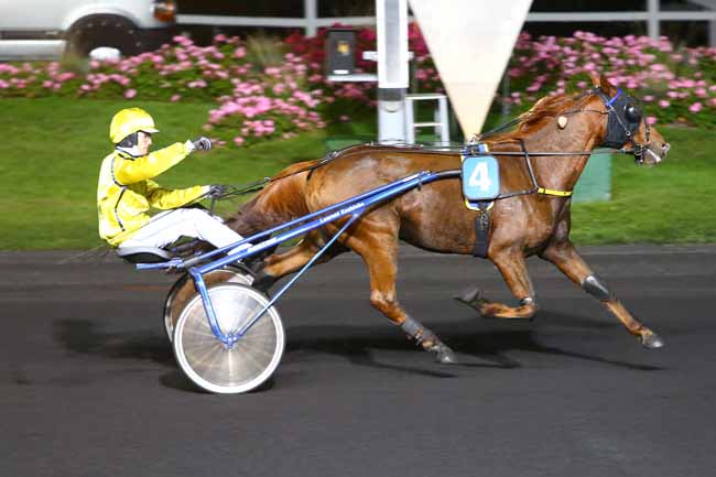 Photo d'arrivée de la course pmu PRIX BETELGEUSE à PARIS-VINCENNES le Mardi 11 octobre 2016