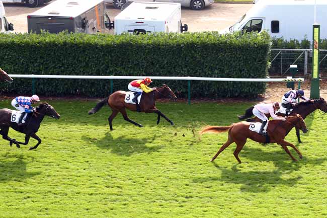 Photo d'arrivée de la course pmu PRIX DES TERROIRS DE FRANCE à CHANTILLY le Mercredi 12 octobre 2016