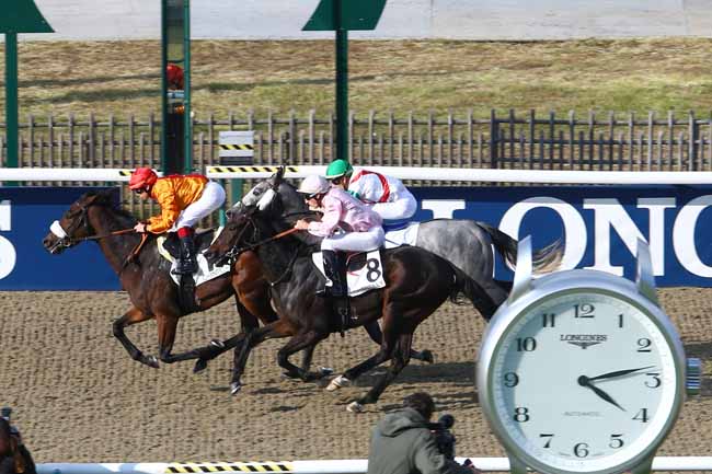 Photo d'arrivée de la course pmu PRIX DU ROND DE DEBOURRAGE à CHANTILLY le Mercredi 12 octobre 2016
