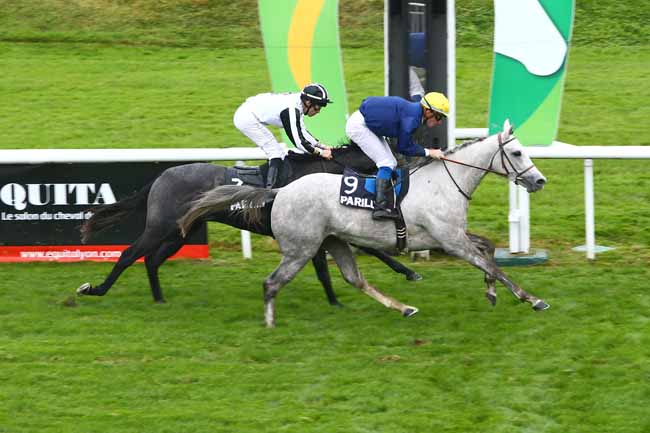 Photo d'arrivée de la course pmu PRIX DES ORCHIDEES à LYON-PARILLY le Jeudi 13 octobre 2016