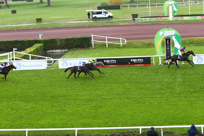 Photo d'arrivée de la course pmu PRIX ANDRE BABOIN - GRAND PRIX DES PROVINCES à LYON-PARILLY le Jeudi 13 octobre 2016