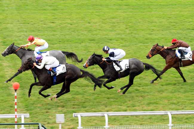 Photo d'arrivée de la course pmu CRITERIUM DE MAISONS-LAFFITTE à MAISONS-LAFFITTE le Vendredi 14 octobre 2016