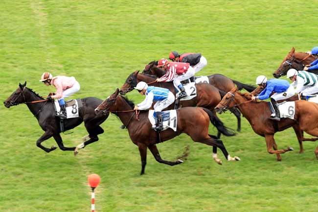 Photo d'arrivée de la course pmu PRIX DE SAINT-CYR à MAISONS-LAFFITTE le Vendredi 14 octobre 2016