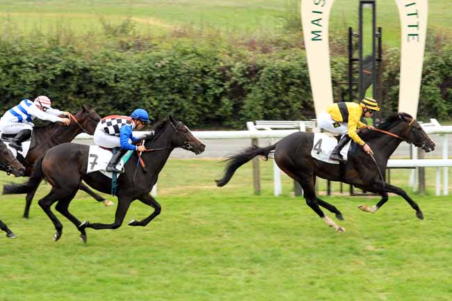 Photo d'arrivée de la course pmu PRIX DE VAUREAL à MAISONS-LAFFITTE le Vendredi 14 octobre 2016