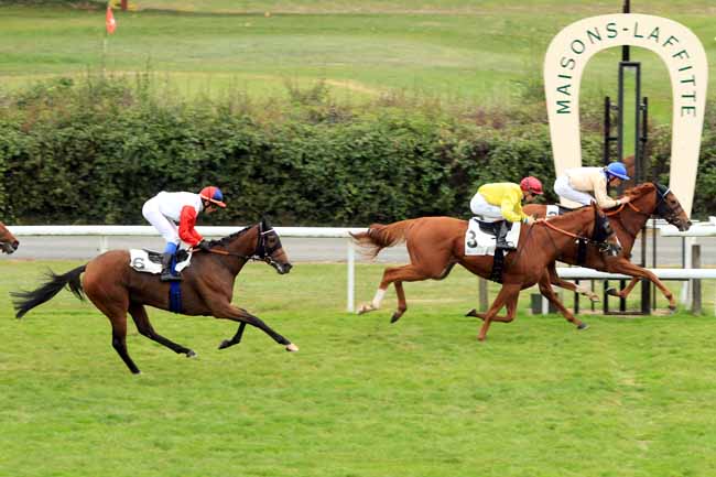 Photo d'arrivée de la course pmu PRIX DE LAMBALLE à MAISONS-LAFFITTE le Vendredi 14 octobre 2016