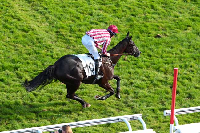 Photo d'arrivée de la course pmu PRIX MAGNE à AUTEUIL le Samedi 15 octobre 2016