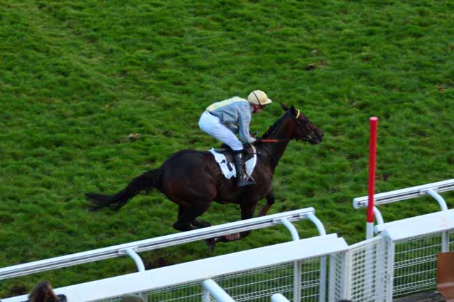 Photo d'arrivée de la course pmu PRIX ROGER SOULANGE-BODIN à AUTEUIL le Samedi 15 octobre 2016