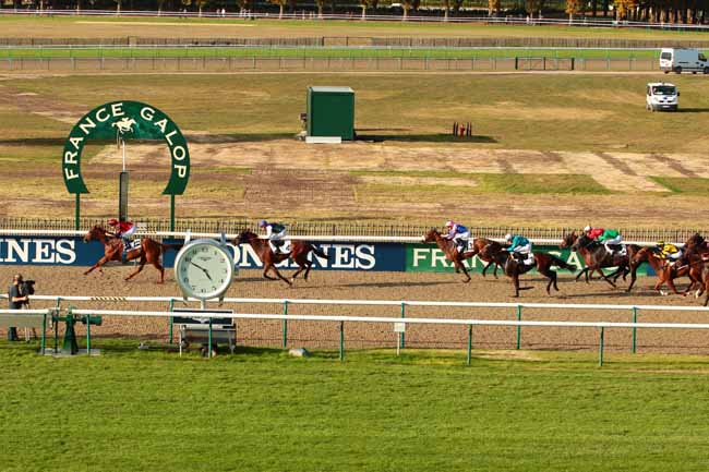 Photo d'arrivée de la course pmu PRIX DE LA DAME BLANCHE à CHANTILLY le Dimanche 16 octobre 2016