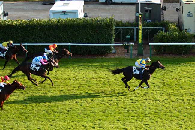 Photo d'arrivée de la course pmu PRIX DE LA VIEILLE ROUTE à CHANTILLY le Dimanche 16 octobre 2016
