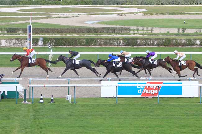Photo d'arrivée de la course pmu PRIX DE BROCOTTE à DEAUVILLE le Lundi 17 octobre 2016