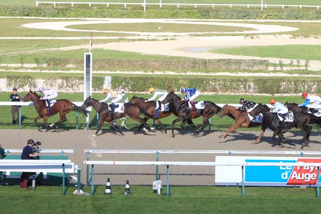 Photo d'arrivée de la course pmu PRIX DE L'AVENUE DES COURSES à DEAUVILLE le Lundi 17 octobre 2016