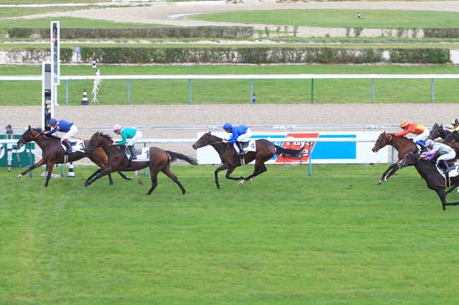 Photo d'arrivée de la course pmu PRIX DU JOURNAL LE PAYS D'AUGE à DEAUVILLE le Mardi 18 octobre 2016