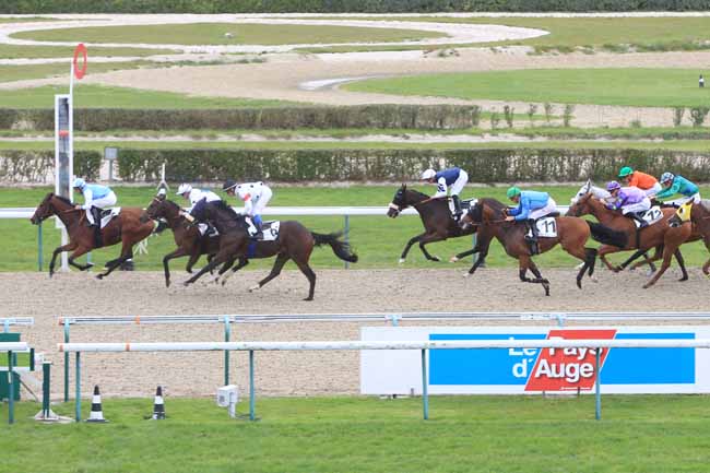 Photo d'arrivée de la course pmu PRIX OX AND BUCKS à DEAUVILLE le Mardi 18 octobre 2016