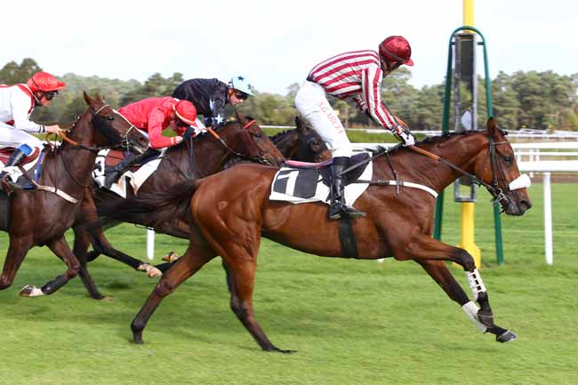 Photo d'arrivée de la course pmu PRIX DE LA CHAMBRE DE COMMERCE ET D'INDUSTRIE DE SEINE ET MARNE à FONTAINEBLEAU le Mardi 18 octobre 2016