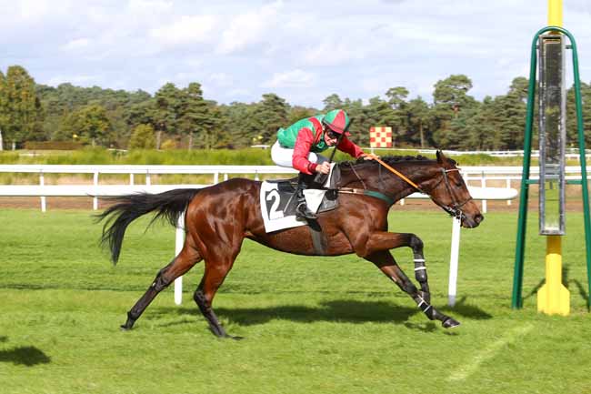 Photo d'arrivée de la course pmu PRIX ESMONDO à FONTAINEBLEAU le Mardi 18 octobre 2016