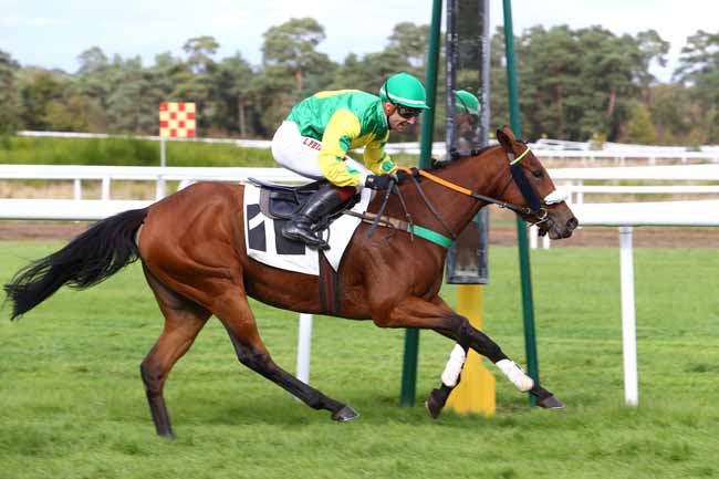 Photo d'arrivée de la course pmu PRIX DU RALLYE FONTAINEBLEAU à FONTAINEBLEAU le Mardi 18 octobre 2016