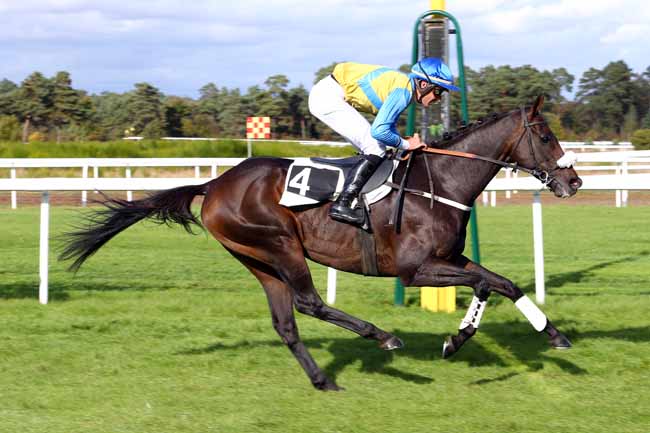 Photo d'arrivée de la course pmu PRIX DU CENTRE SPORTIF D'EQUITATION MILITAIRE à FONTAINEBLEAU le Mardi 18 octobre 2016