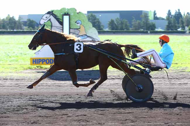 Photo d'arrivée de la course pmu PRIX BAR PMU DE LA POSTE à SALON-DE-PROVENCE le Mercredi 19 octobre 2016