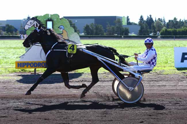 Photo d'arrivée de la course pmu GRAND NATIONAL DU TROT PARIS-TURF à SALON-DE-PROVENCE le Mercredi 19 octobre 2016