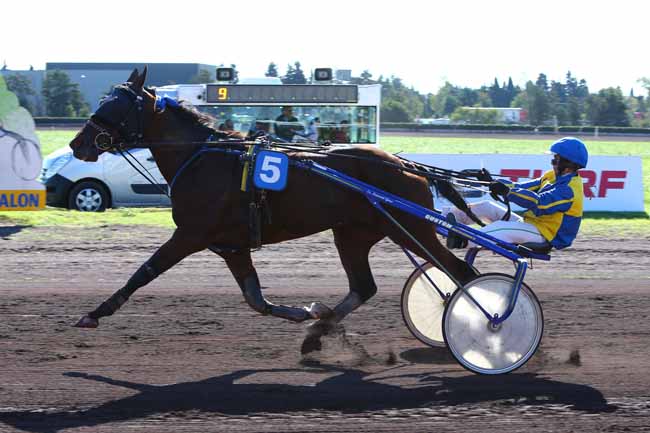Photo d'arrivée de la course pmu PRIX ROTARY CLUB - SALON-DE-PROVENCE à SALON-DE-PROVENCE le Mercredi 19 octobre 2016
