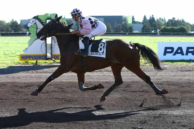 Photo d'arrivée de la course pmu PRIX JEANNOT FAIZENDE à SALON-DE-PROVENCE le Mercredi 19 octobre 2016