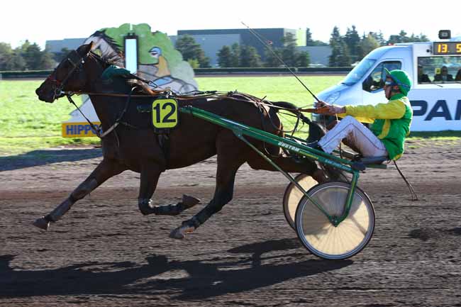 Photo d'arrivée de la course pmu PRIX YVES BACHELIER (GR A) à SALON-DE-PROVENCE le Mercredi 19 octobre 2016