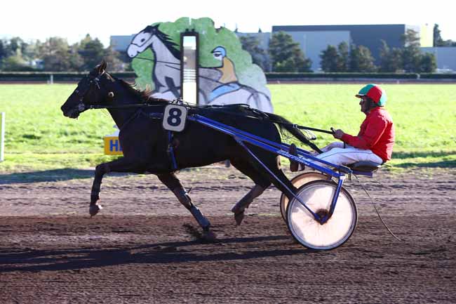 Photo d'arrivée de la course pmu PRIX CASINO BARRIERE - CARRY-LE-ROUET à SALON-DE-PROVENCE le Mercredi 19 octobre 2016