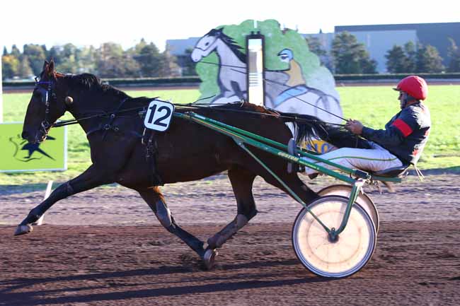 Photo d'arrivée de la course pmu PRIX JEAN-LUC MICHEL à SALON-DE-PROVENCE le Mercredi 19 octobre 2016
