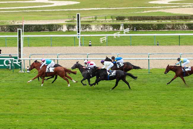 Photo d'arrivée de la course pmu PRIX DE LA FOSSE AUX BICHES à DEAUVILLE le Mercredi 19 octobre 2016