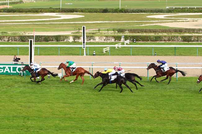 Photo d'arrivée de la course pmu PRIX DES RESERVOIRS à DEAUVILLE le Mercredi 19 octobre 2016