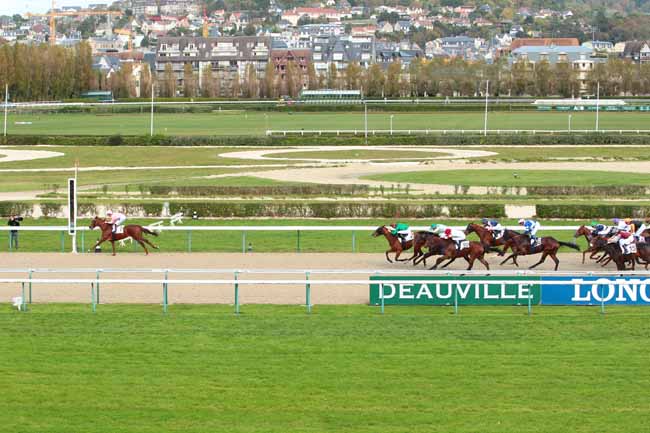 Photo d'arrivée de la course pmu PRIX DU BERGERET à DEAUVILLE le Mercredi 19 octobre 2016