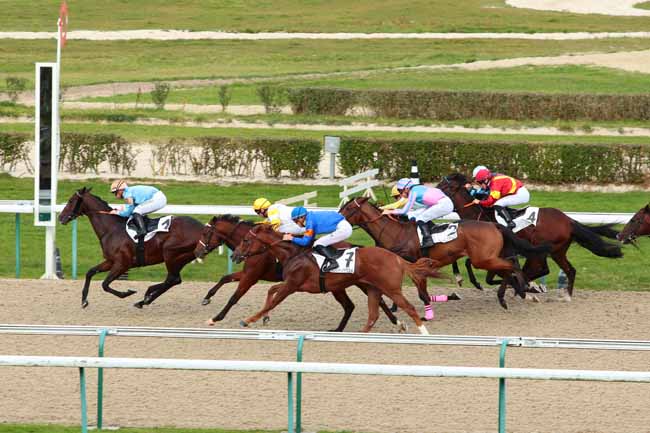 Photo d'arrivée de la course pmu PRIX DES DORELLES à DEAUVILLE le Mercredi 19 octobre 2016