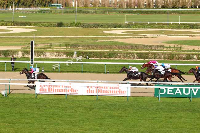 Photo d'arrivée de la course pmu PRIX DE MONTEILLERIE à DEAUVILLE le Jeudi 20 octobre 2016