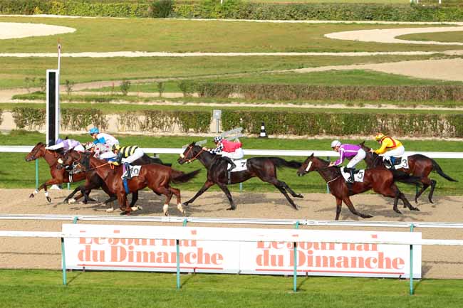 Photo d'arrivée de la course pmu PRIX DE BREVILLE à DEAUVILLE le Jeudi 20 octobre 2016