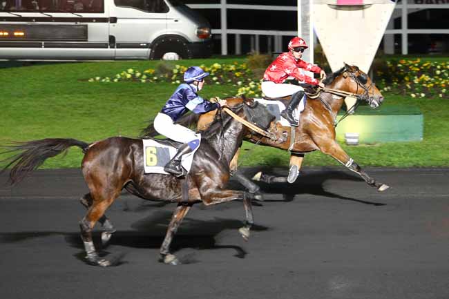 Photo d'arrivée de la course pmu PRIX EUTERPE à PARIS-VINCENNES le Vendredi 21 octobre 2016