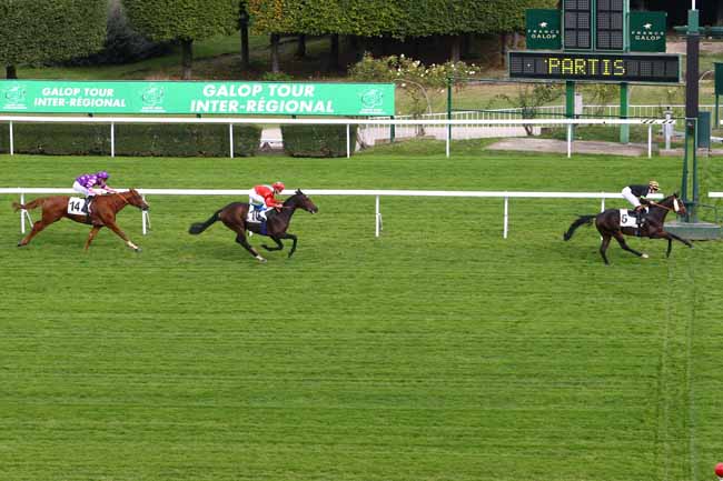 Photo d'arrivée de la course pmu PRIX DU MUSEE DU QUAI BRANLY à SAINT-CLOUD le Dimanche 23 octobre 2016