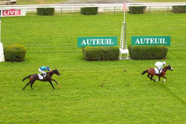 Photo d'arrivée de la course pmu PRIX DES PYRENEES à AUTEUIL le Mardi 25 octobre 2016