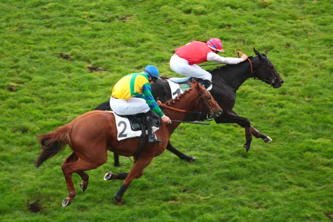 Photo d'arrivée de la course pmu PRIX DE PORNIC à AUTEUIL le Mardi 25 octobre 2016