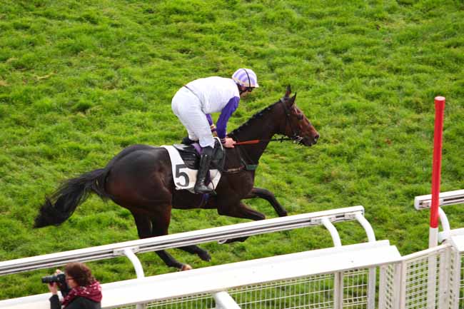 Photo d'arrivée de la course pmu PRIX MID DANCER à AUTEUIL le Mardi 25 octobre 2016