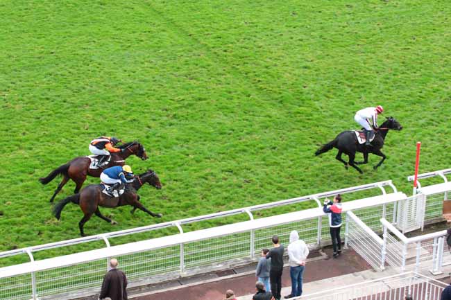 Photo d'arrivée de la course pmu PRIX JEAN SENS à AUTEUIL le Mardi 25 octobre 2016