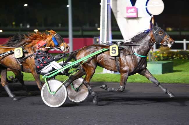 Photo d'arrivée de la course pmu PRIX TIMOCHARIS à PARIS-VINCENNES le Mardi 25 octobre 2016