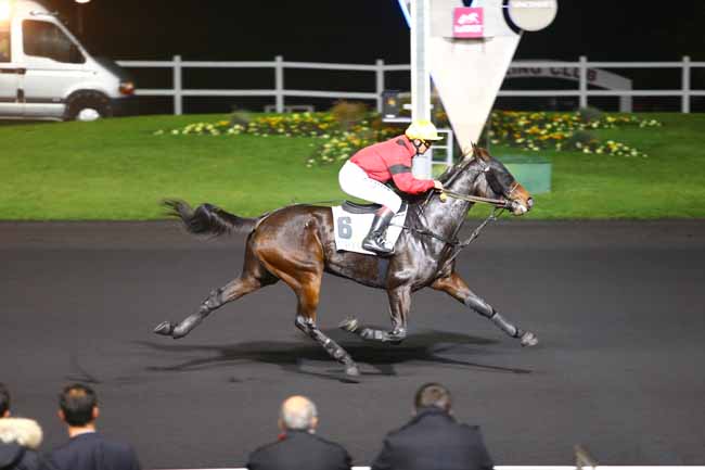 Photo d'arrivée de la course pmu PRIX ORION à PARIS-VINCENNES le Mardi 25 octobre 2016