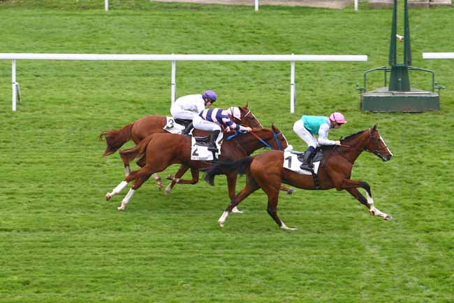 Photo d'arrivée de la course pmu PRIX ANTIVARI à SAINT-CLOUD le Mercredi 26 octobre 2016