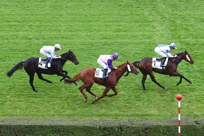 Photo d'arrivée de la course pmu PRIX DE BOIS D'ARCY à SAINT-CLOUD le Mercredi 26 octobre 2016