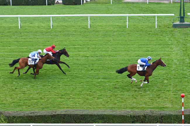 Photo d'arrivée de la course pmu PRIX DOUVE (PELOTON B) à SAINT-CLOUD le Mercredi 26 octobre 2016