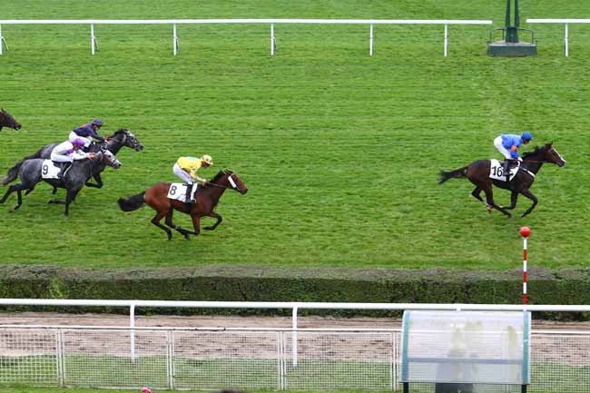 Photo d'arrivée de la course pmu PRIX DU GRAND MORIN à SAINT-CLOUD le Mercredi 26 octobre 2016